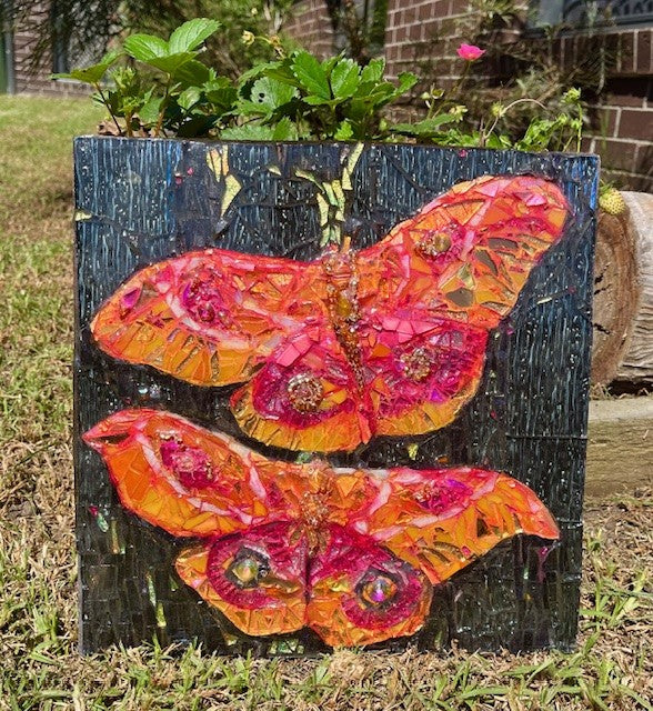 Sakura Moths
